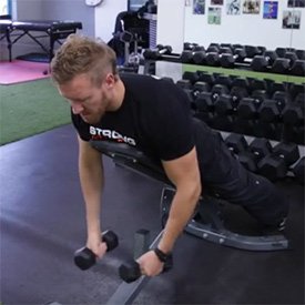 Incline Dumbbell T Raise thumbnail image