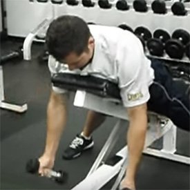 Incline Dumbbell Y Raise thumbnail image